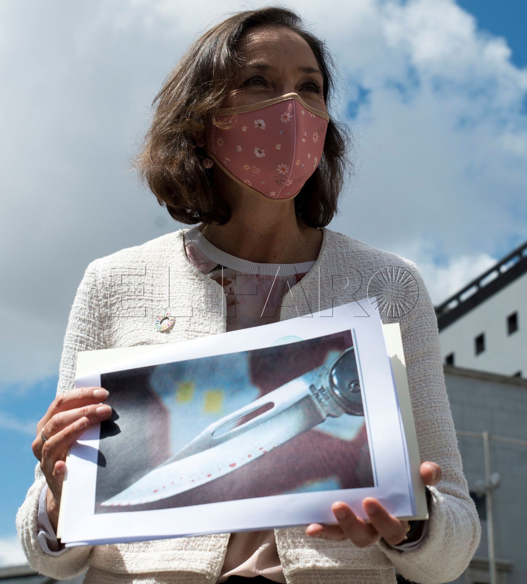 Diccionario para una pandemia (Tomo VII-IV)