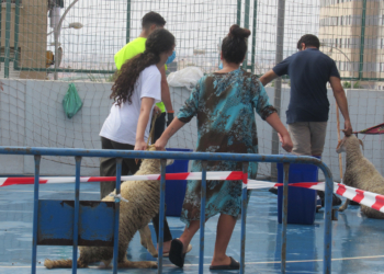 Melilla tendrá un Aid El Kebir seguro
