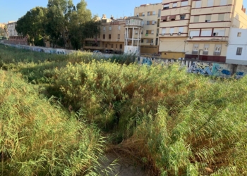 Más mosquitos en Melilla que en Doñana