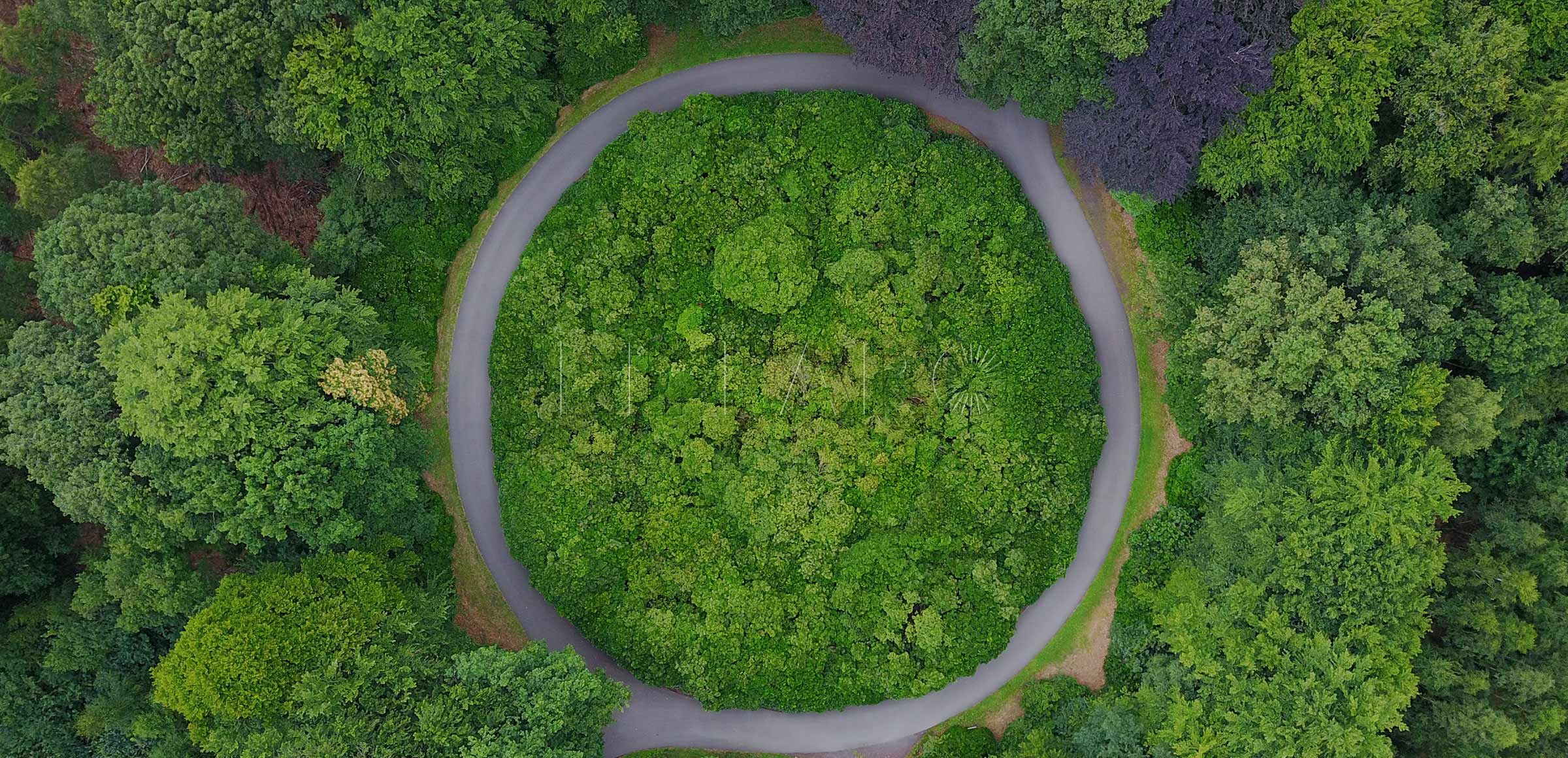 Un futuro sostenible