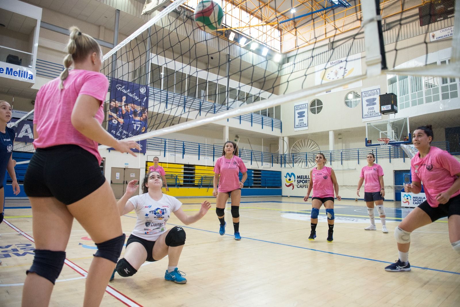 Claudia Goñi, nueva colocadora del MSC Voleibol femenino