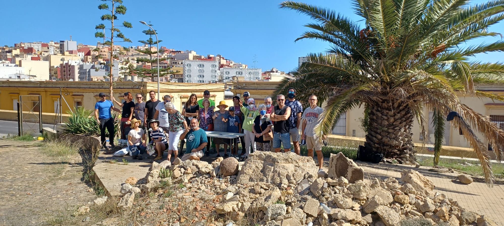 Objetivo: salvar el palmeral centenario del acuartelamiento de Santiago