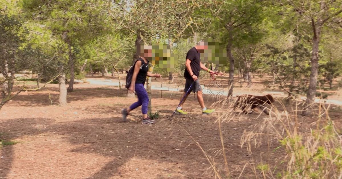 Rescatado en Melilla un hombre que resbaló hasta el fondo de una vaguada
