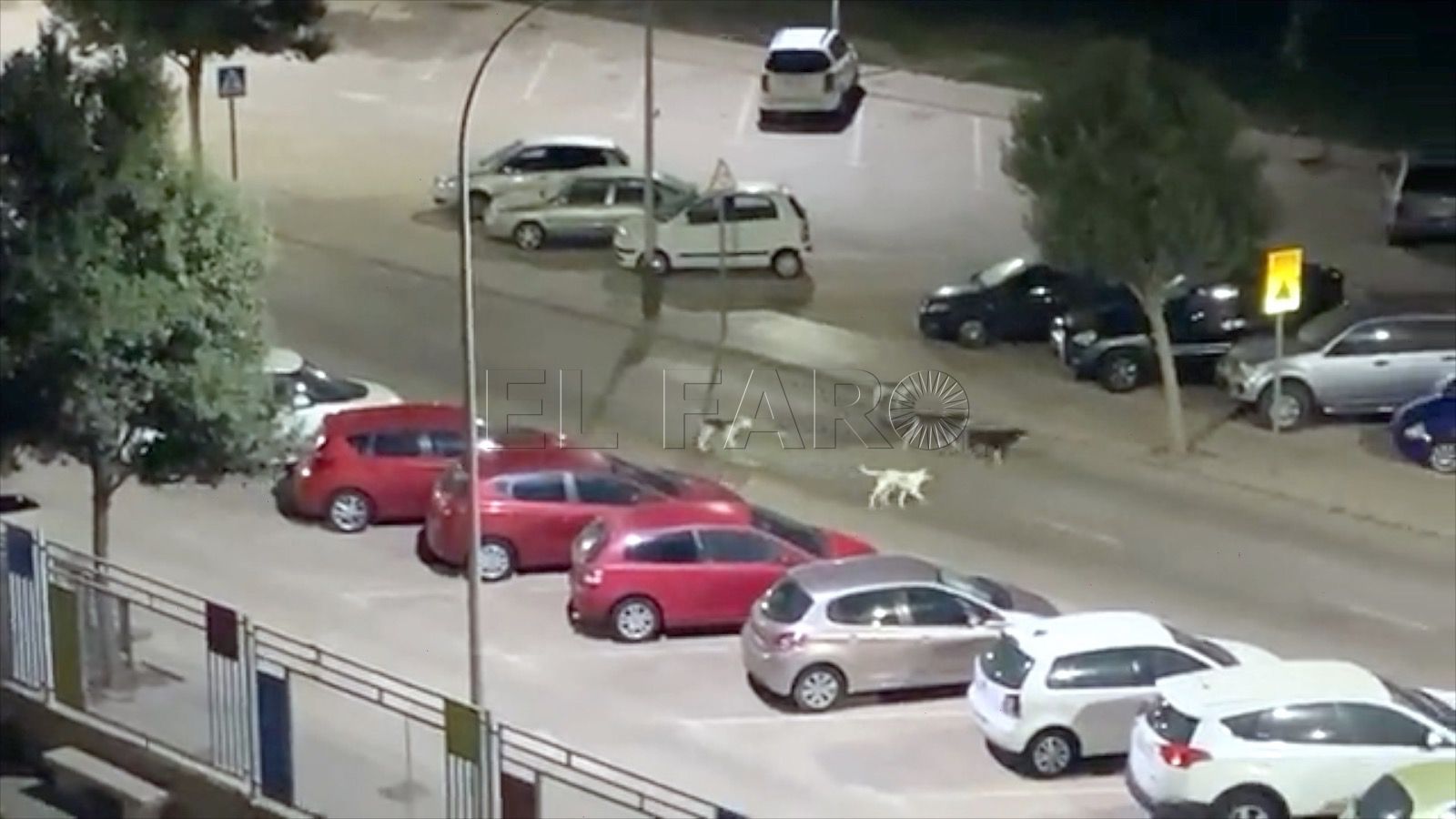 Seguridad Ciudadana se equivoca en Melilla: los vecinos mandan