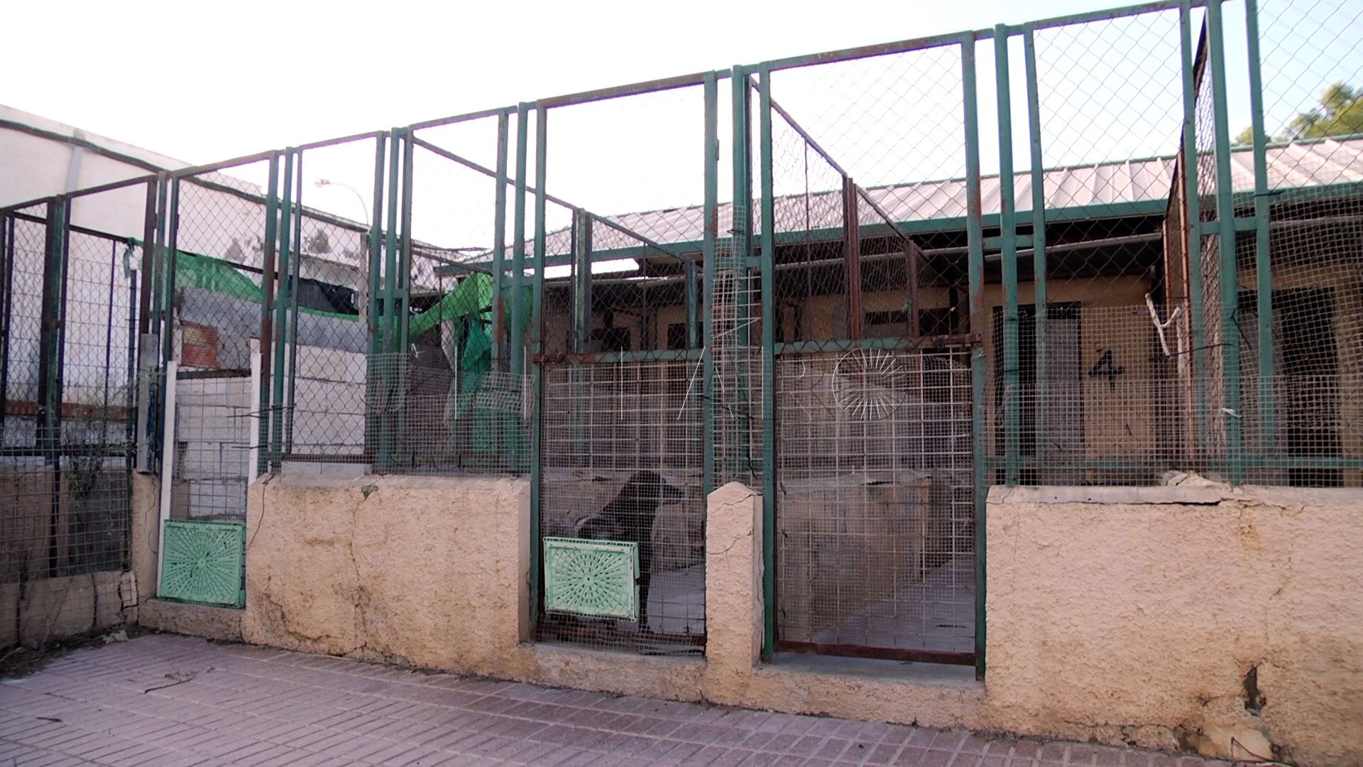 La obra de la nueva protectora, nueva polémica entre Gobierno y PP en Melilla