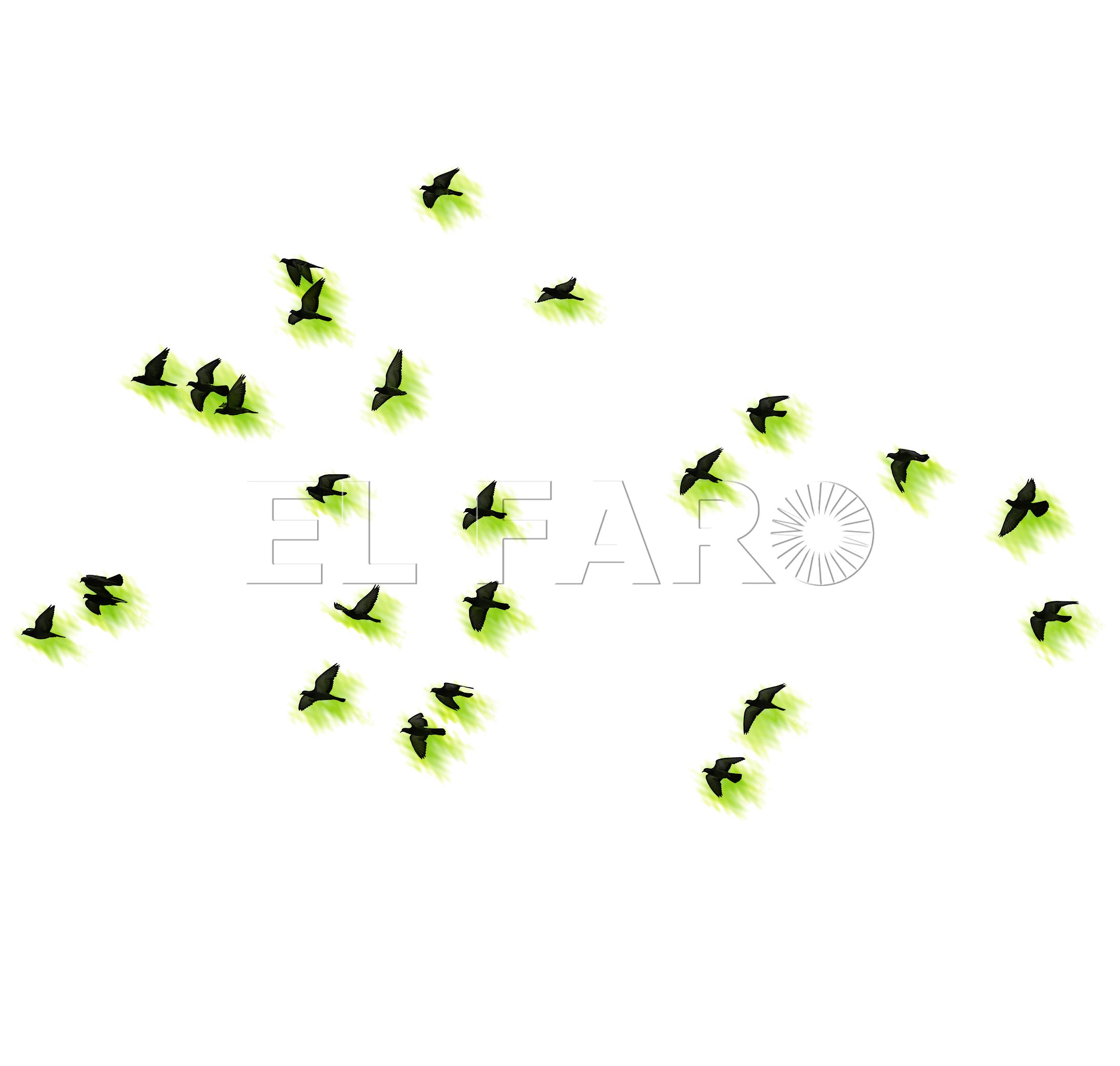 La libertad como noción existencial