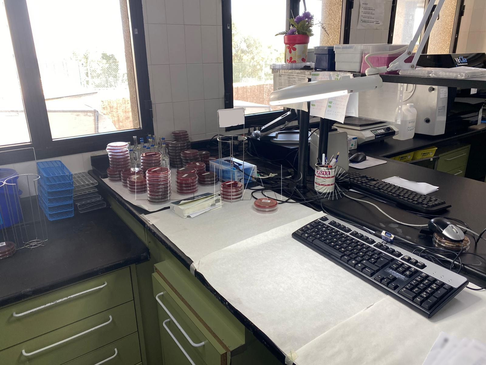Roban un ordenador del laboratorio de Microbiología del hospital de Melilla