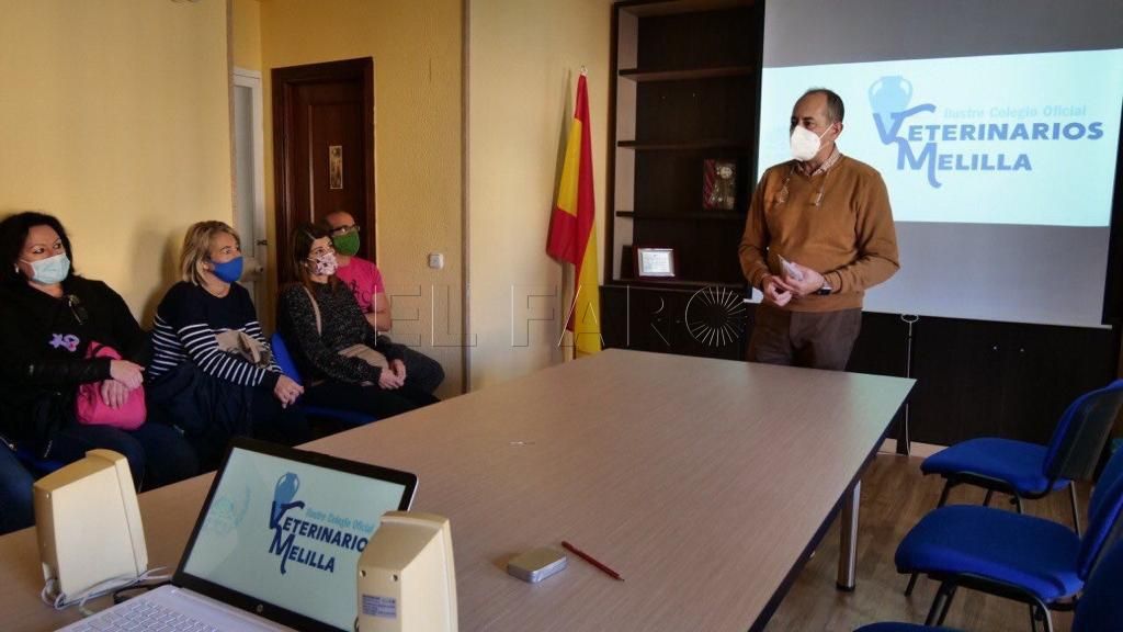 Forman en Melilla a voluntarios en el protocolo de captura, esterilización y suelta de gatos callejeros