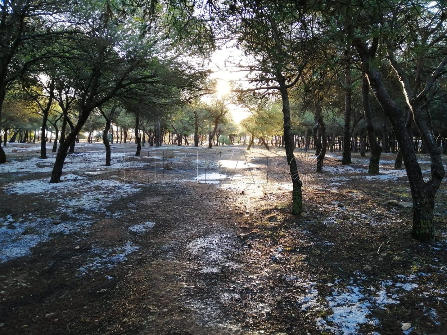 Melilla: granizo en Los Pinares de Rostrogordo