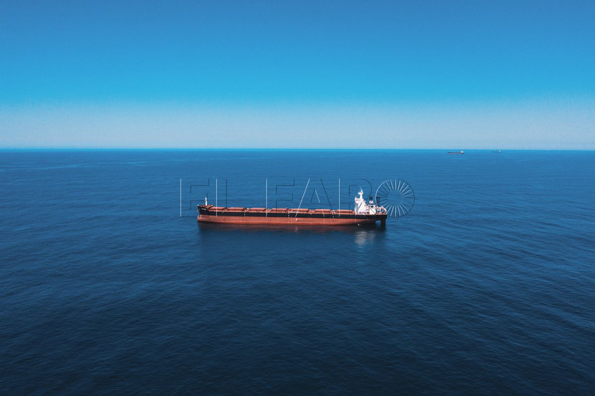 Organizaciones piden controlar las emisiones de buques en el Mediterráneo