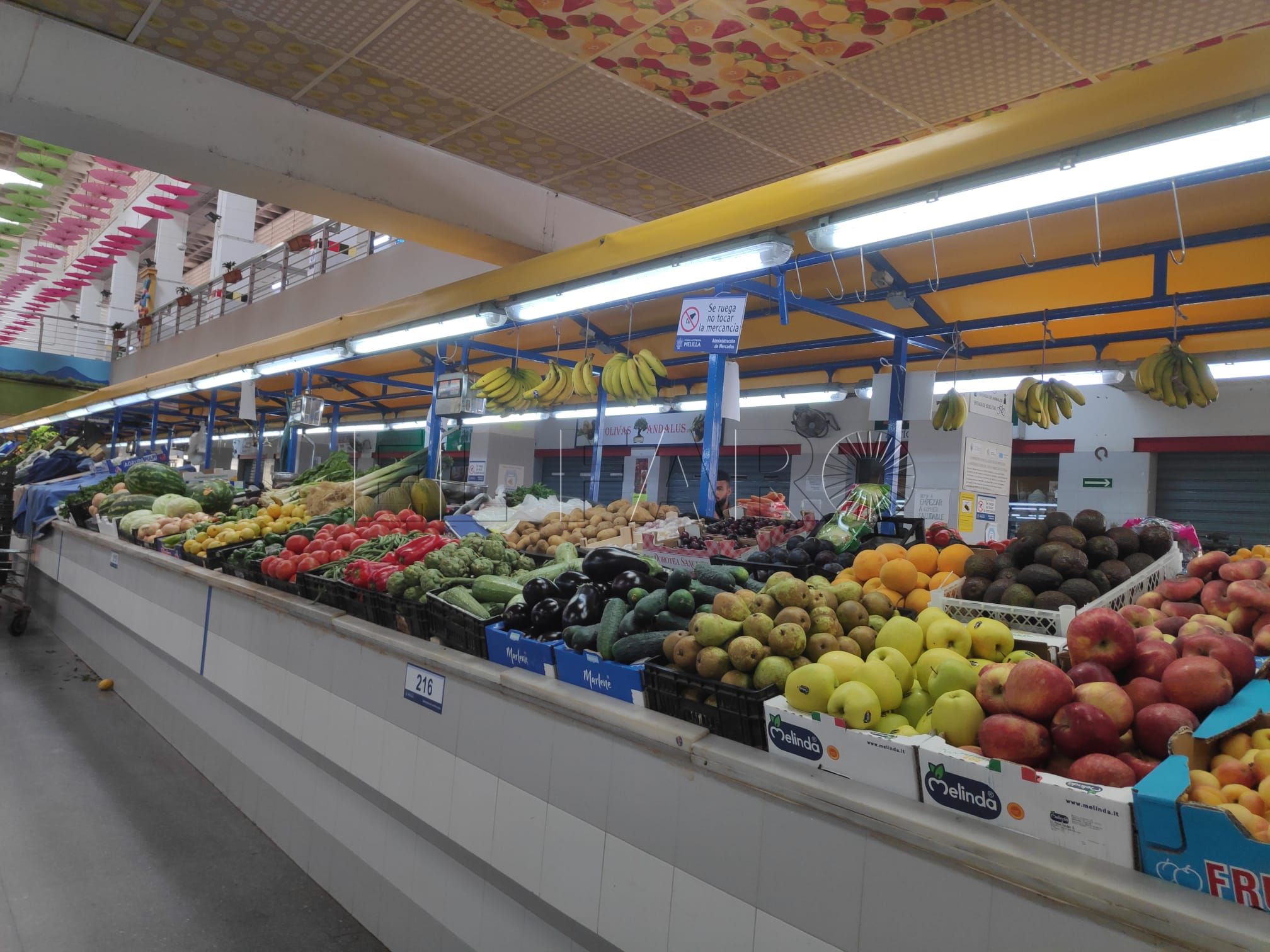 Melilla oferta 22 locales en los mercados de abasto