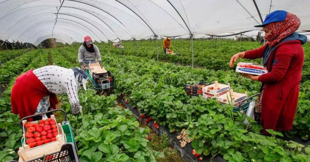 Las remesas: el balón de oxígeno de Marruecos