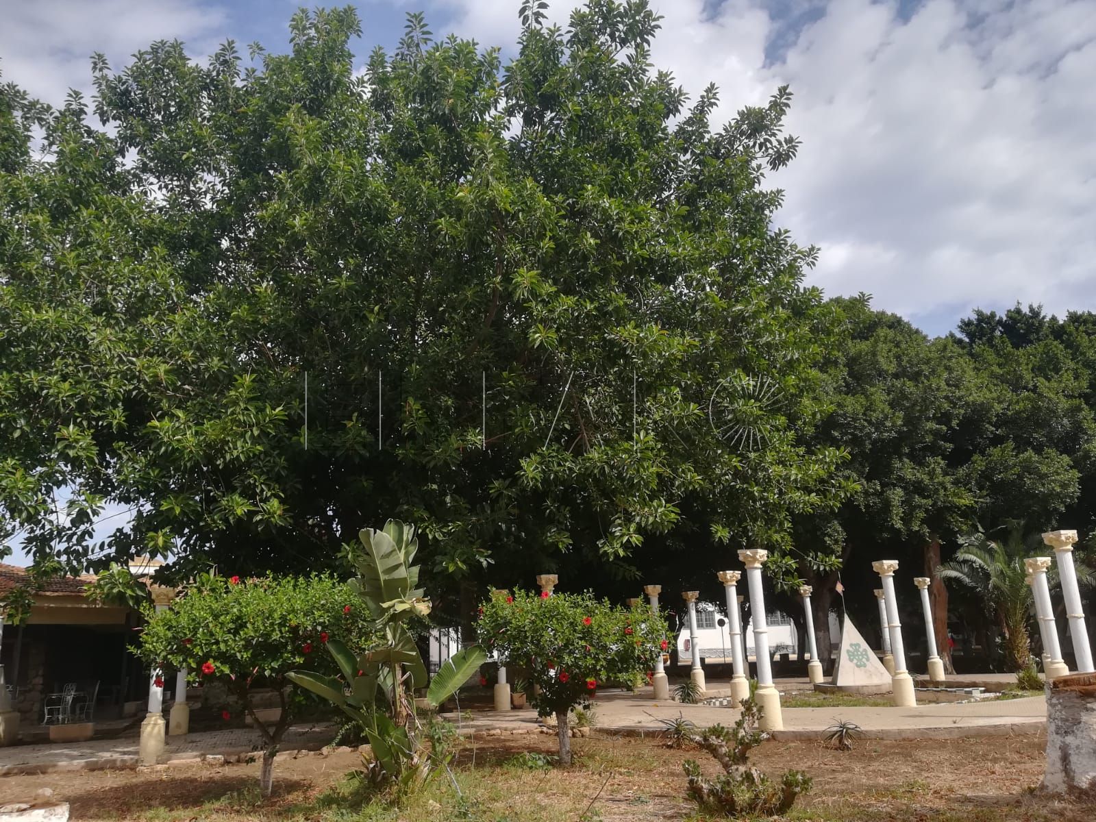 Colectivos sociales en contra del proyecto del cuartel de Caballería de Melilla