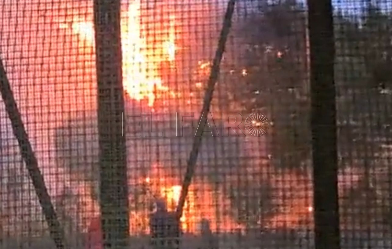 Bomberos de Melilla sofocan un incendio entre la carretera Hidum y la Pista de Carros