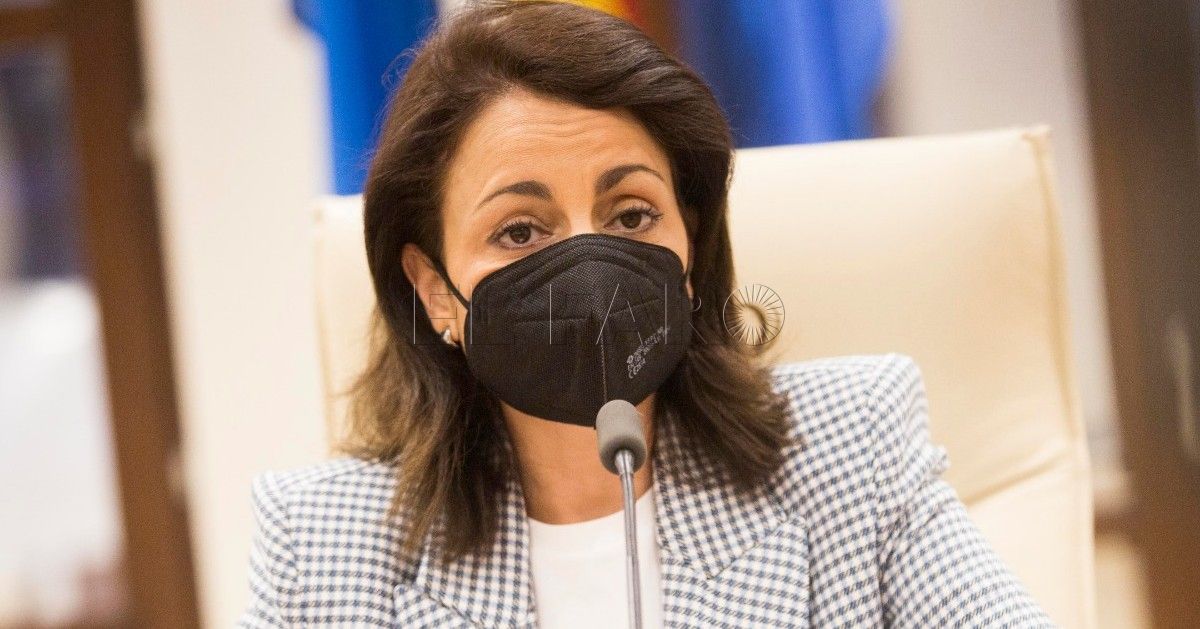 La Audiencia rechaza el recurso del PP y confirma el archivo de la querella contra Almansouri por el Búho taxi