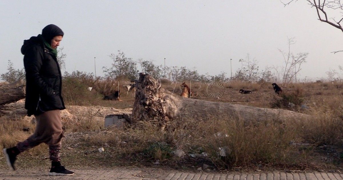 Acabar con la rabia de Marruecos
