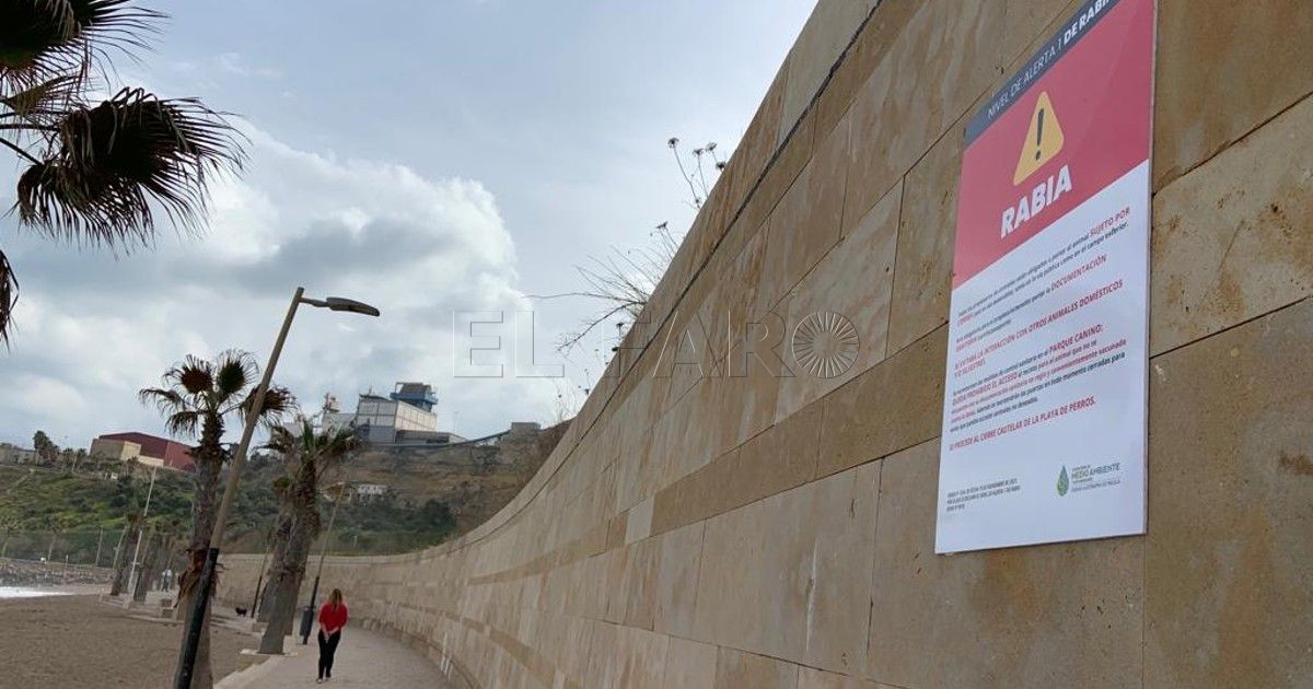 Melilla tiene que controlar la rabia