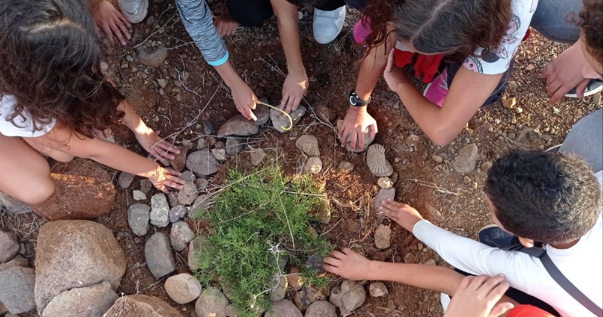 Guelaya hará su tradicional plantación de Reyes este sábado