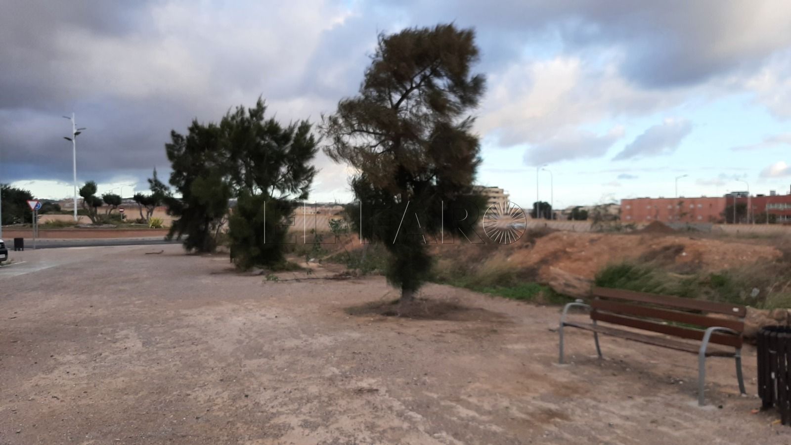 SEO/BirdLife pide que la nueva Protectora se adapte al entorno natural