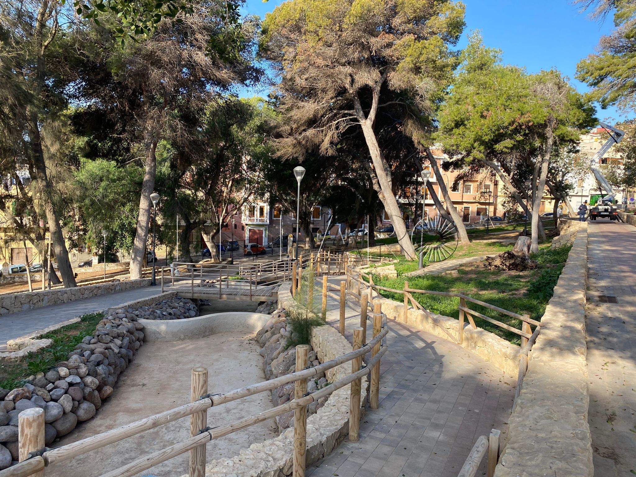 Un estudio del arbolado y el aumento de la biodiversidad, proyecto de Medio Ambiente para el Parque Lobera