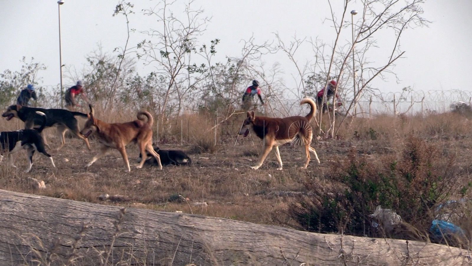 Melilla dará prioridad a la contratación de personal para reforzar el servicio de lacero