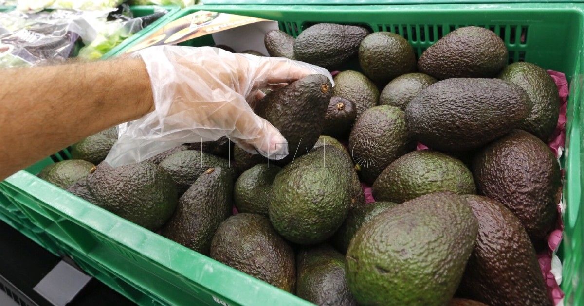 Mercadona prevé comprar 8.400 toneladas de aguacate de origen español