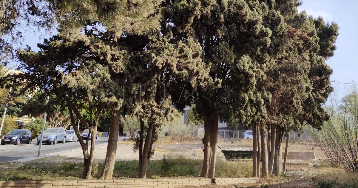 Ecologistas llevan ante el juez un tema medioambiental de Melilla