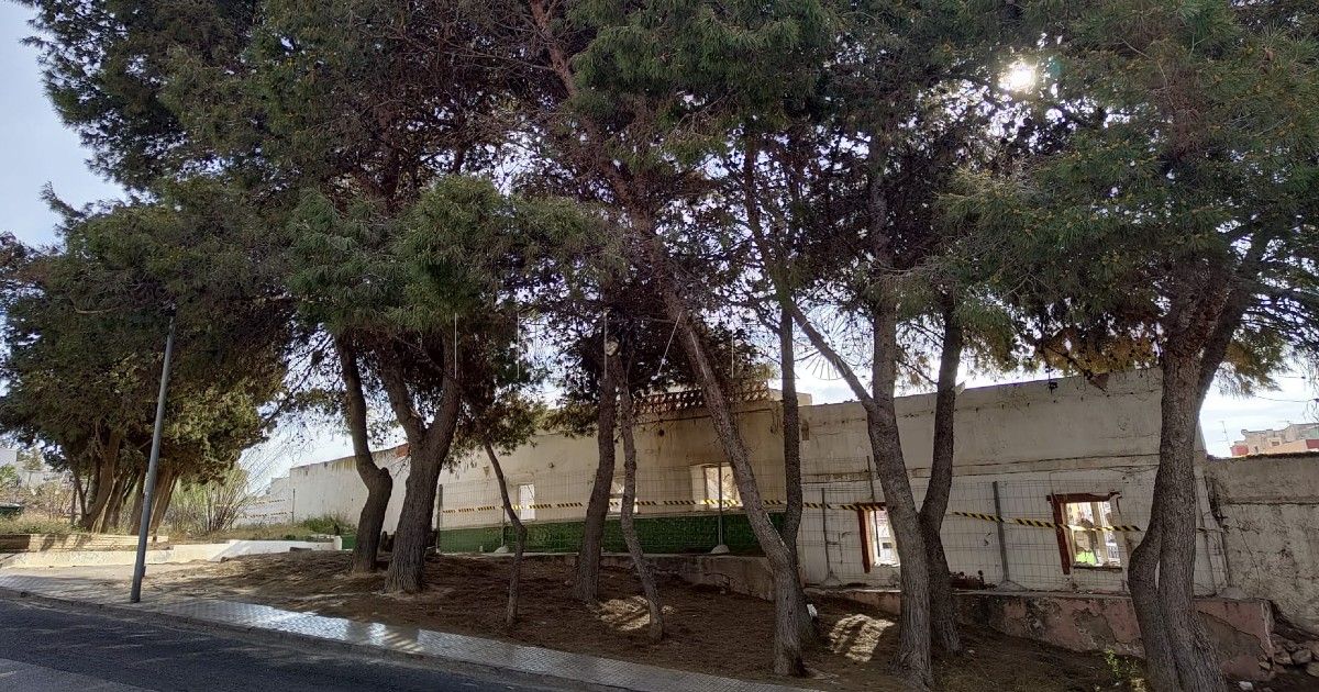 Ecologistas, en defensa de 21 árboles de la calle de Pizarro