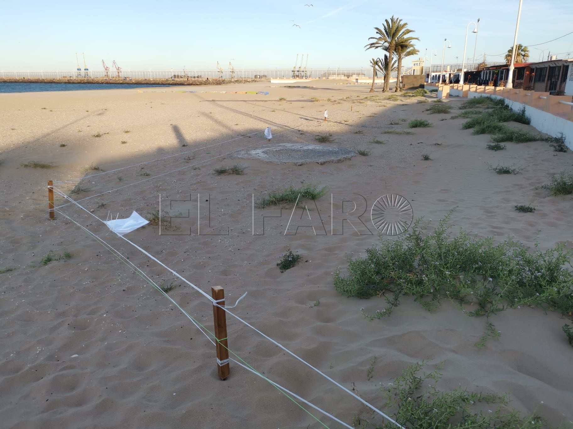 Proteger las dunas, proteger las playas