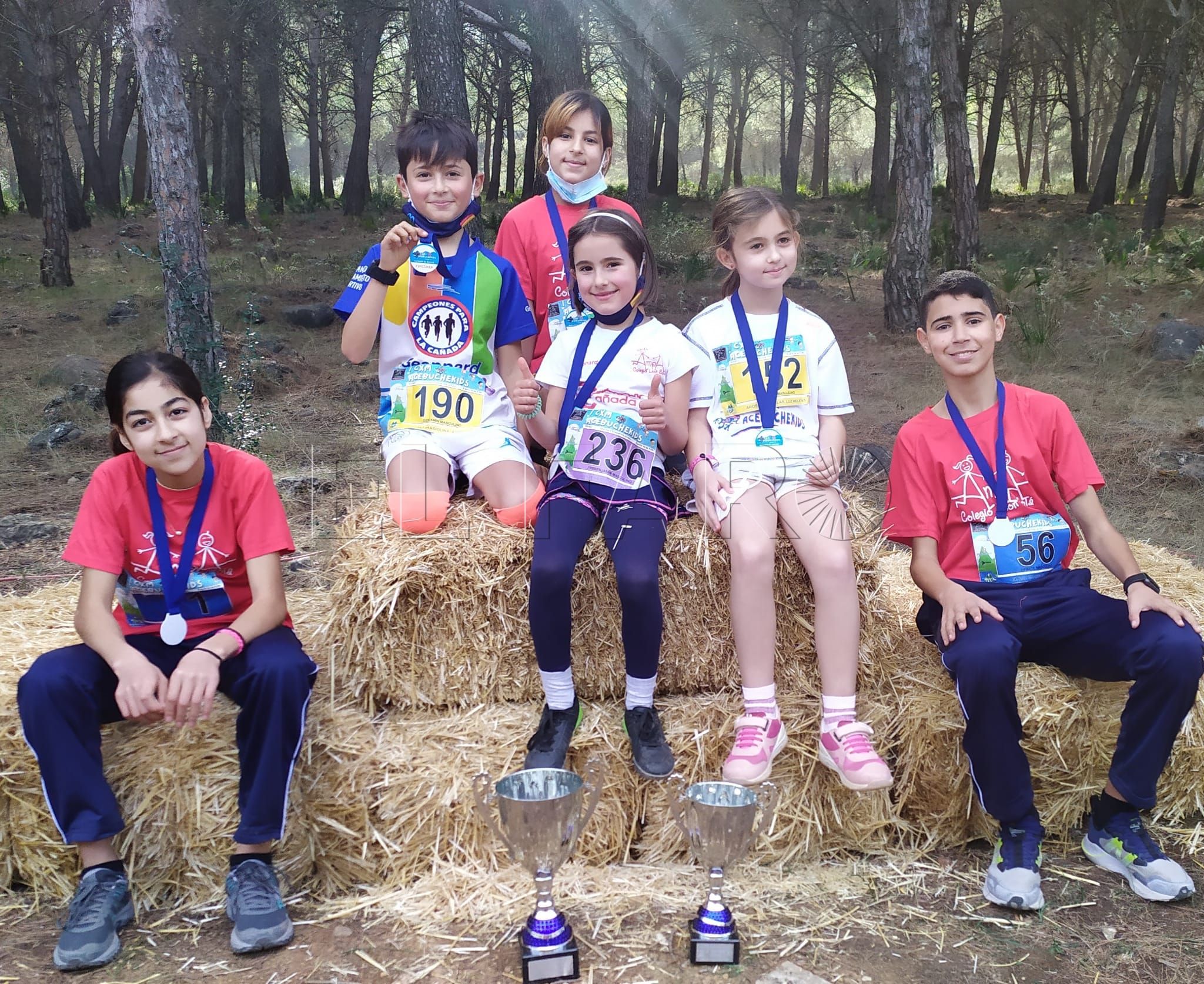 Campeones Para la Cañada, de Cañada Viva, inicia el año de competiciones de Menores en la Acebuchekids de Málaga