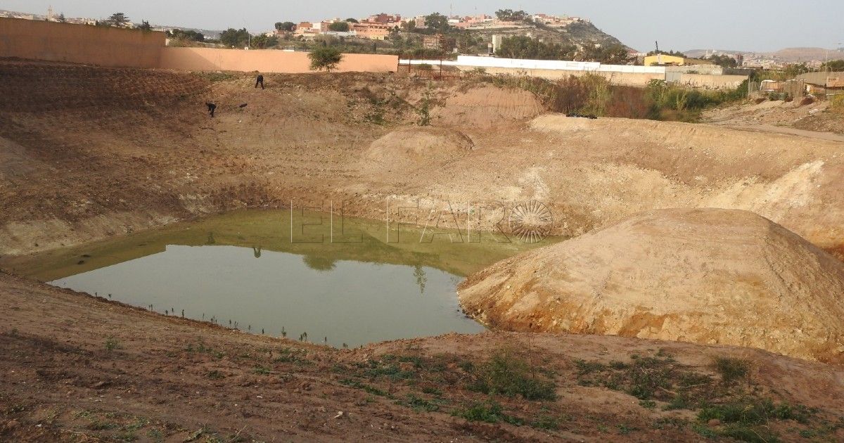 Guelaya y SEO Birdlife celebrarán este sábado el Día de los Humedales