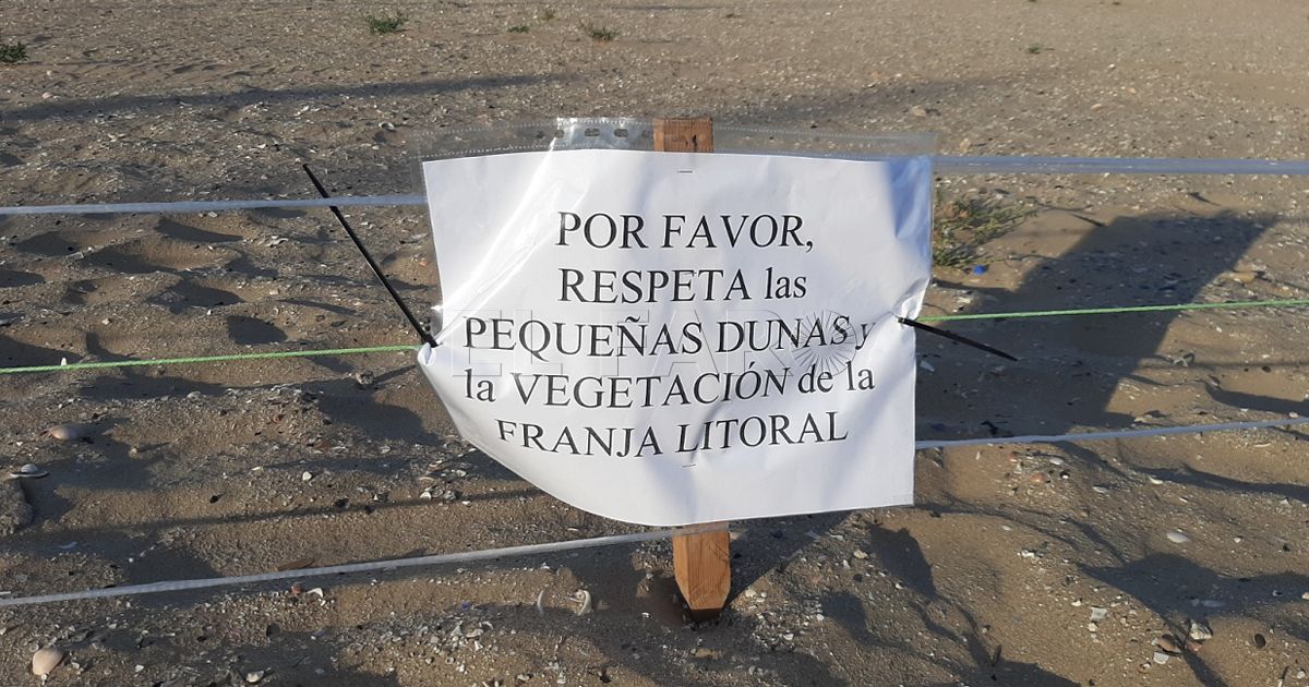 Los melillenses crean un espacio de protección de dunas en la Playa de la Hípica