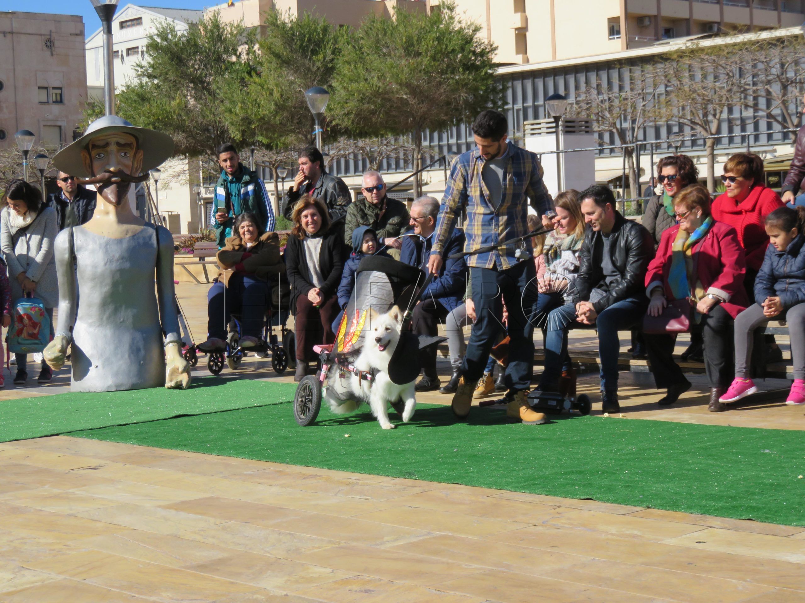 Melilla cancela el concurso de Disfraces de Carnaval para Mascotas por la alerta de rabia