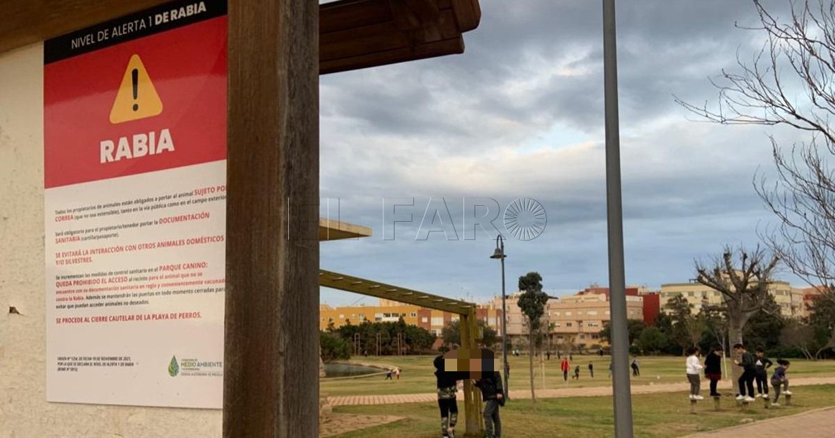 Veterinarios aconsejan titulación positiva en perros vacunados de rabia