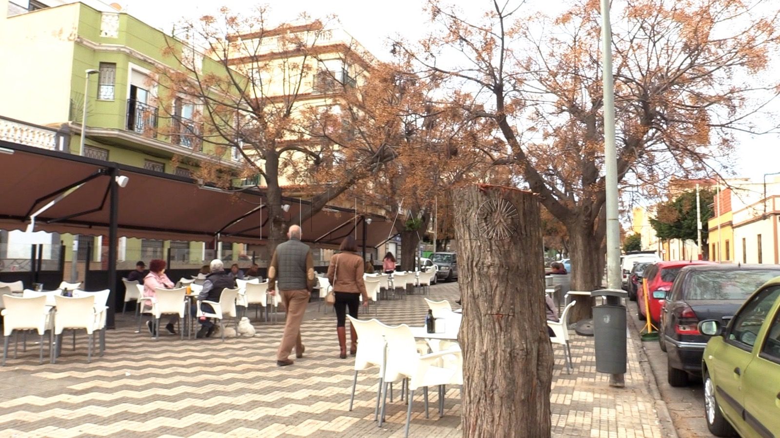 Mohatar dice que no es una tala indiscriminada de árboles