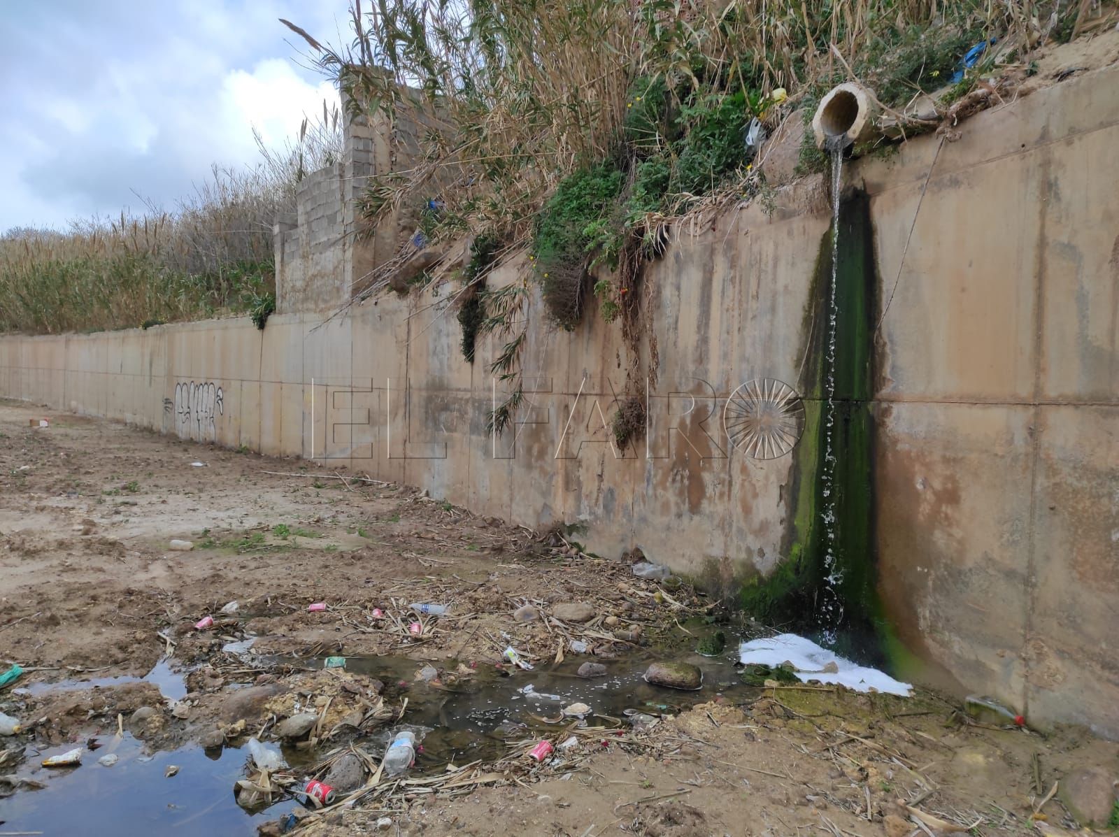 SEO Birdlife pide que la Administración controle los vertidos al río de Oro