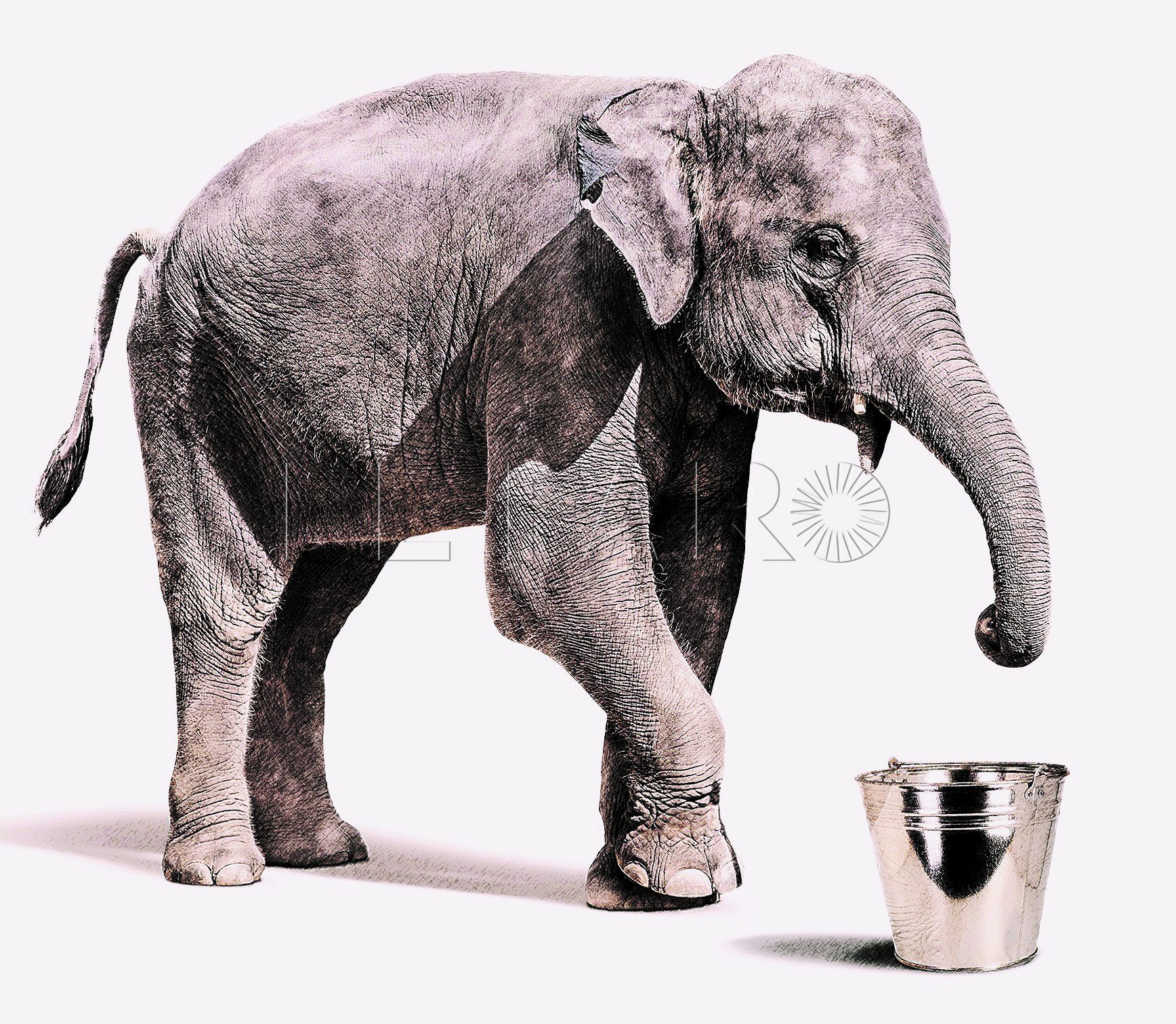 Diccionario para una pandemia Tomo XVII-III