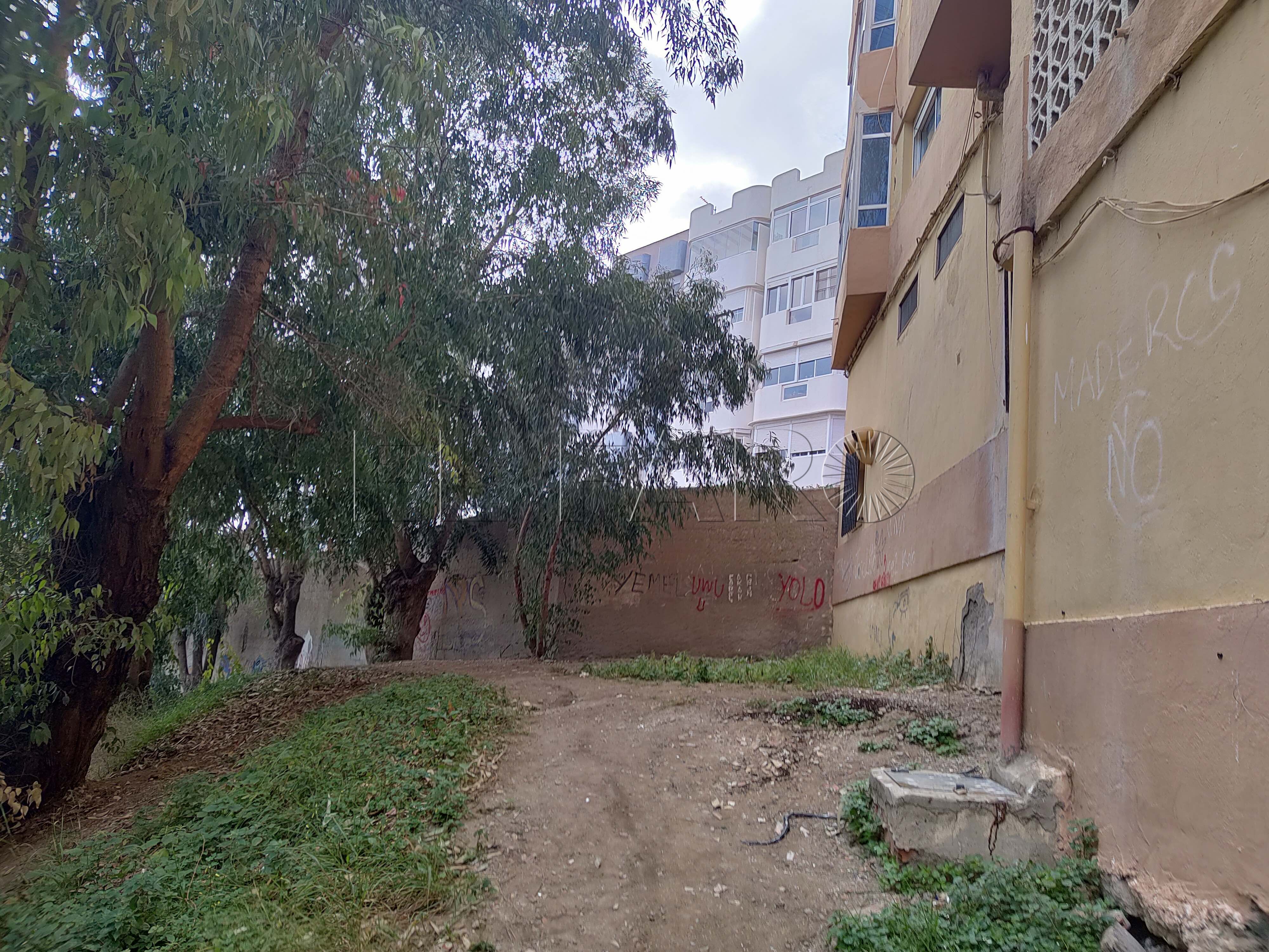 Peleas y alcohol a altas horas de la noche en la calle Patio del Cura