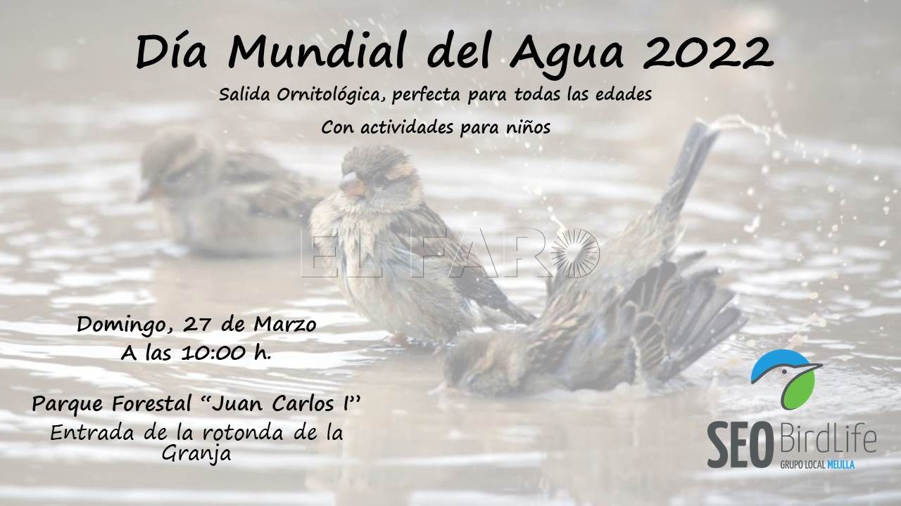 SEO Bird life Melilla organiza una ruta por el Día Mundial del Agua 2022