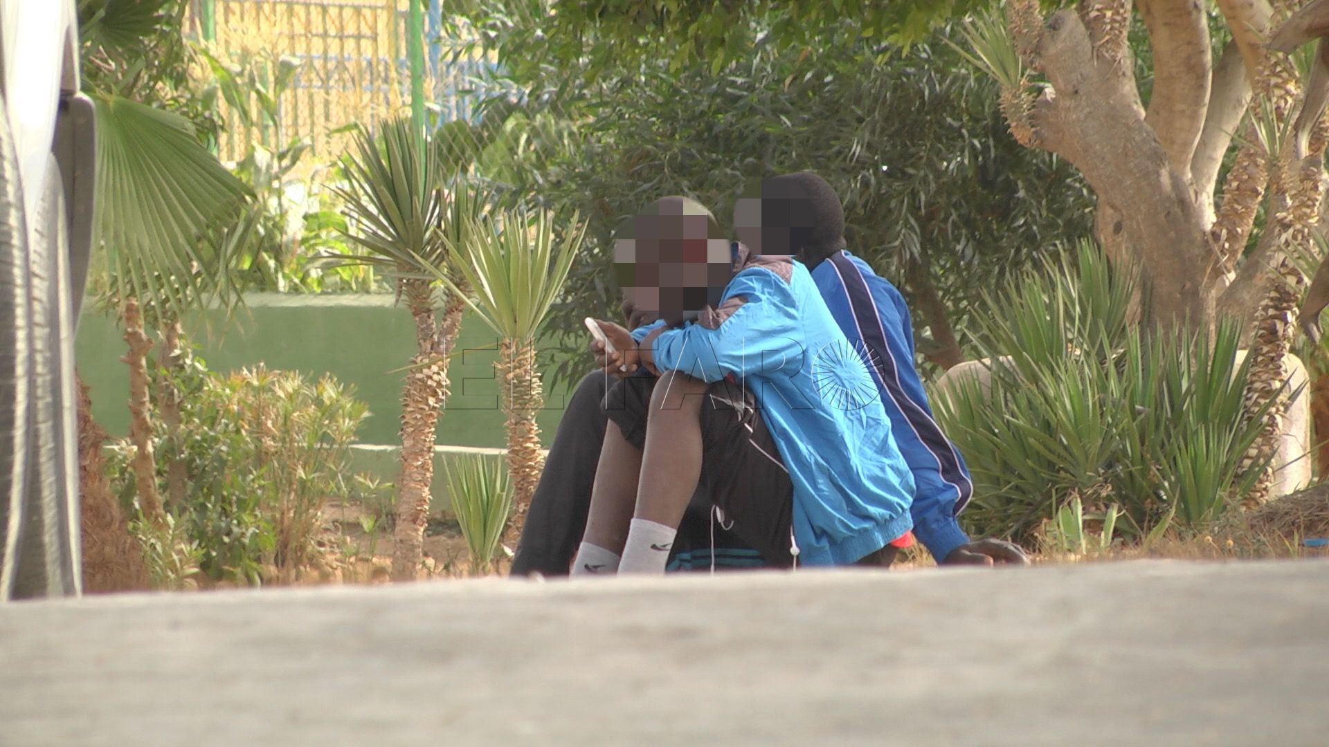 PP preguntará a CpM sobre los menores extranjeros no acompañados