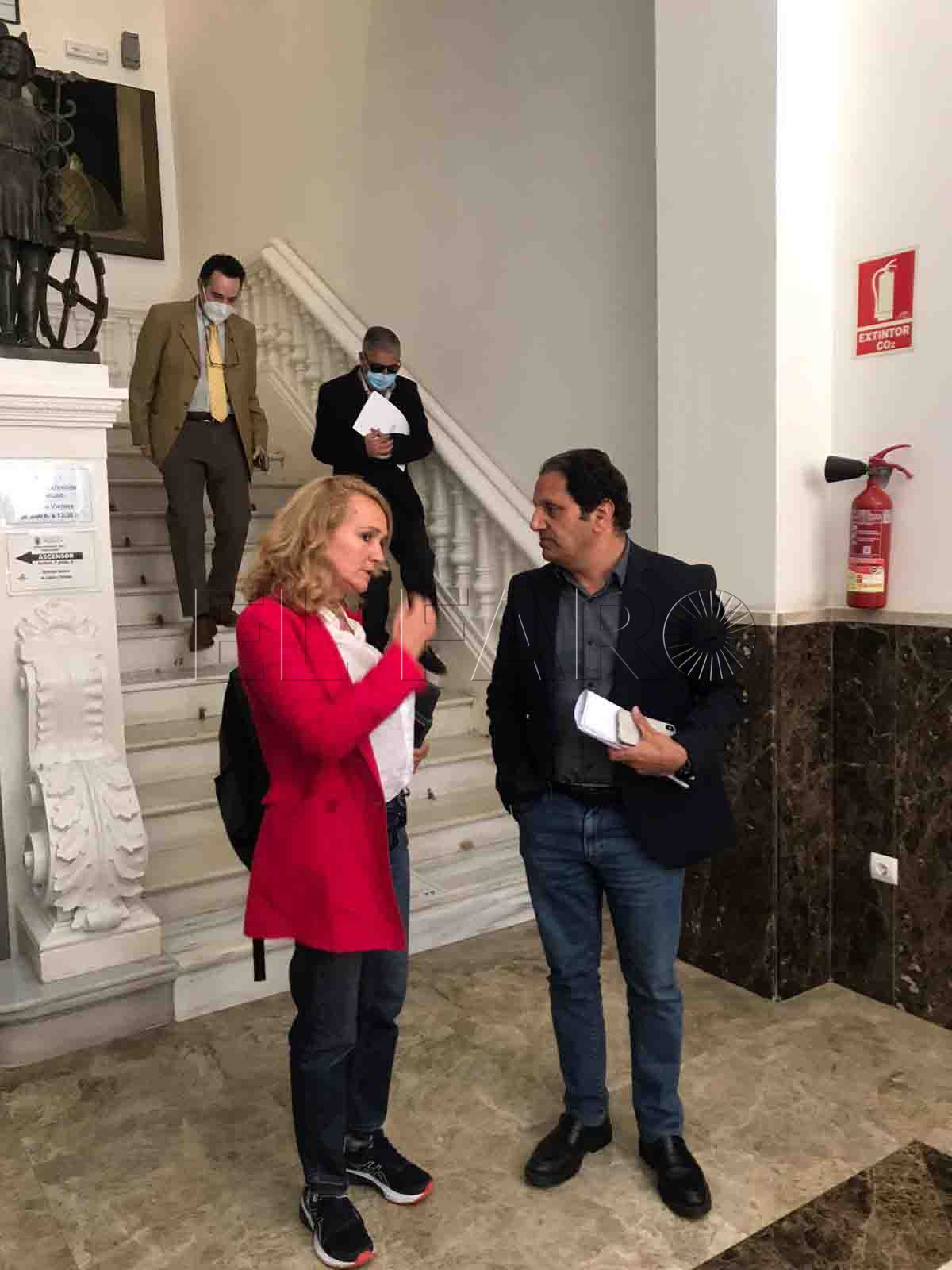 La Comisión de Patrimonio "entierra" el derribo del muro del Parque Hernández