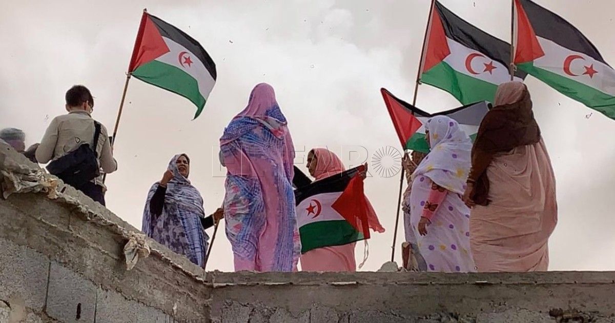 Cs exige al ministro Albares explicaciones sobre ruptura de contactos con el Polisario