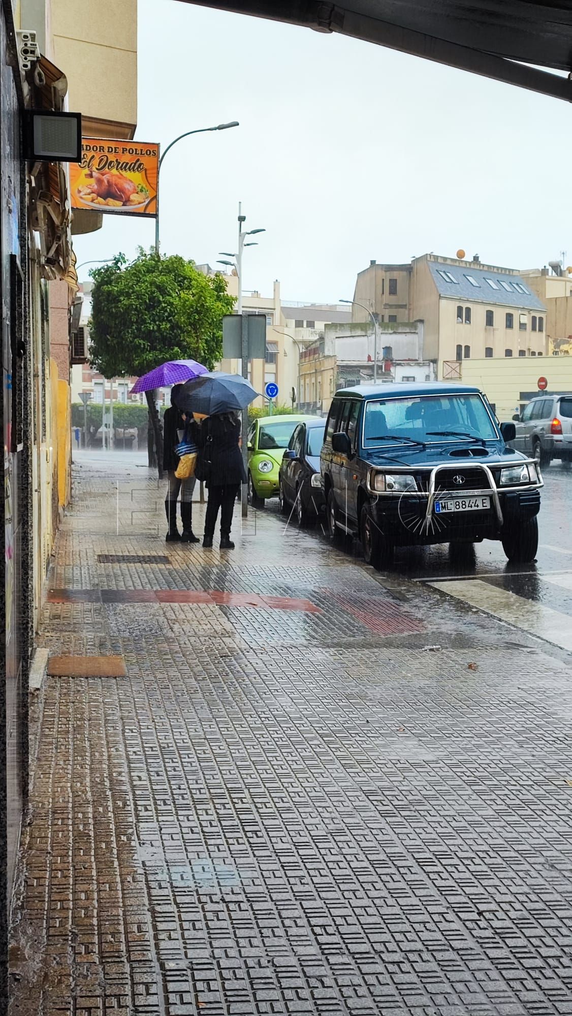 Retrasos y cancelaciones en las comunicaciones con la península