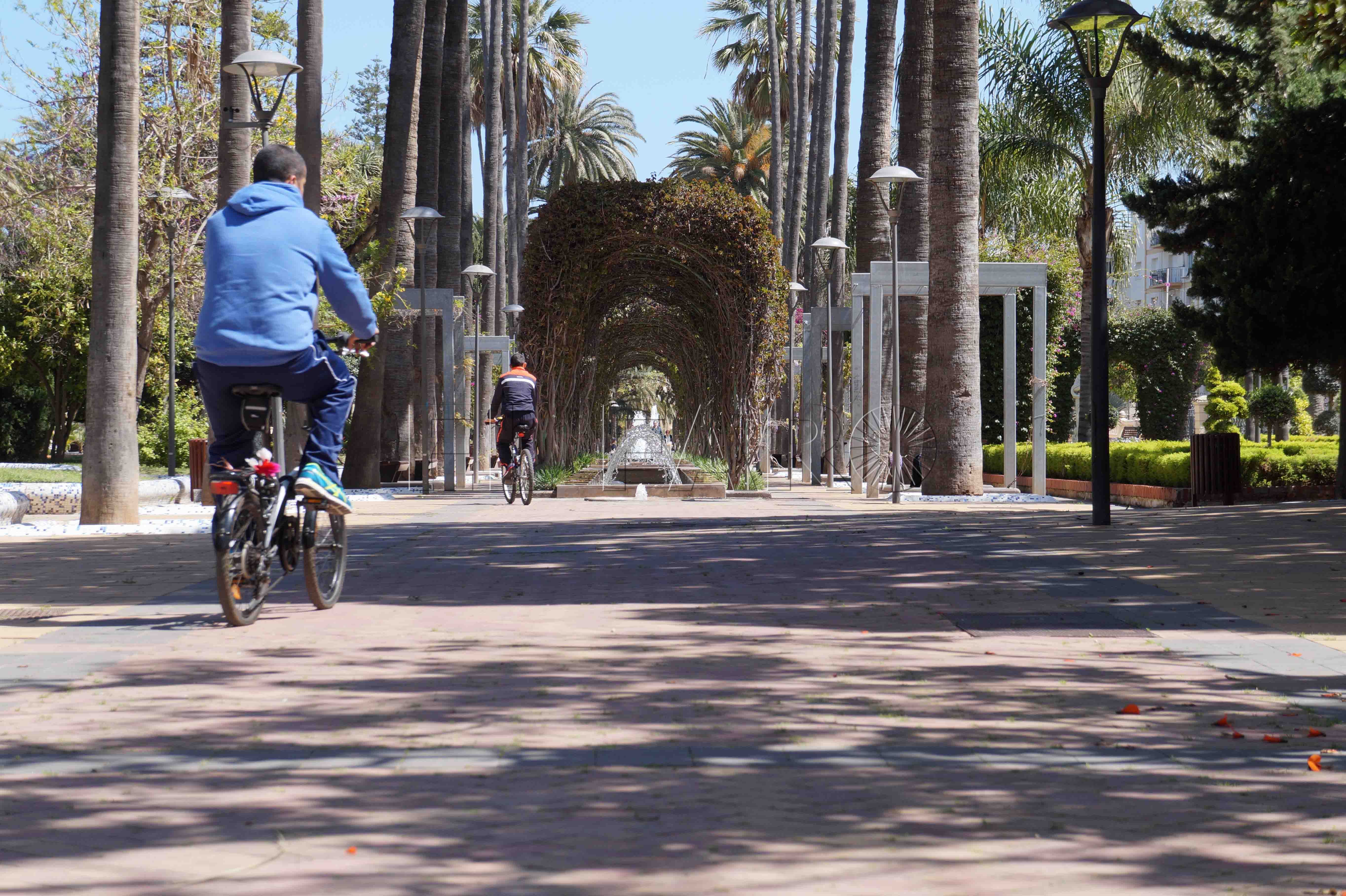 Quevedo fue el que advirtió de que no había permiso de Patrimonio para derribar el muro del parque