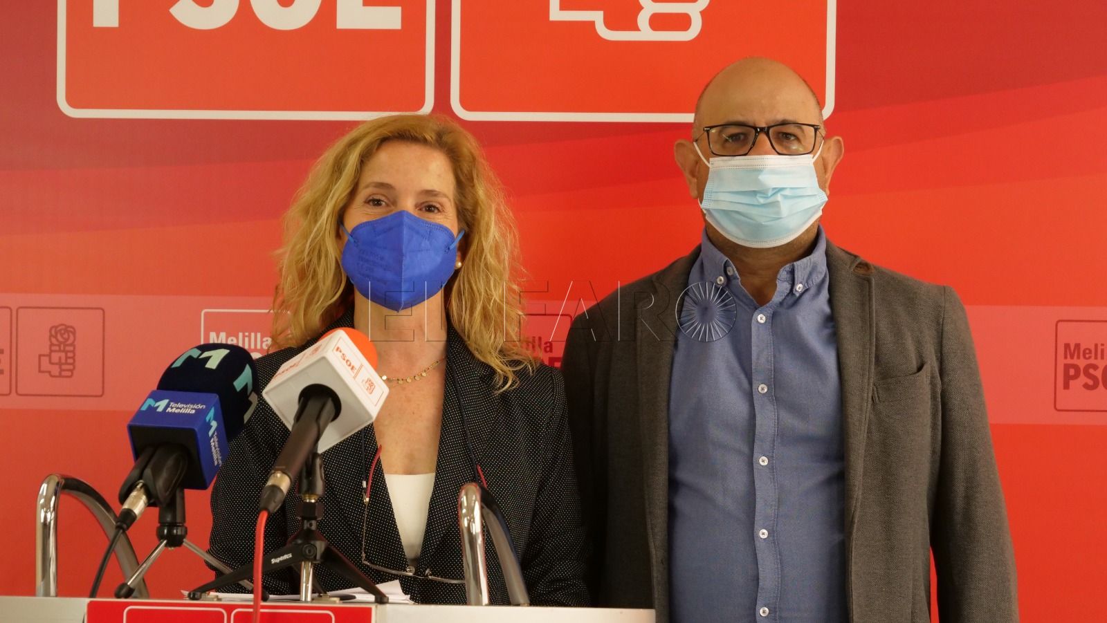 El PSOE presenta una moción pidiendo un reglamento de conservación del arbolado