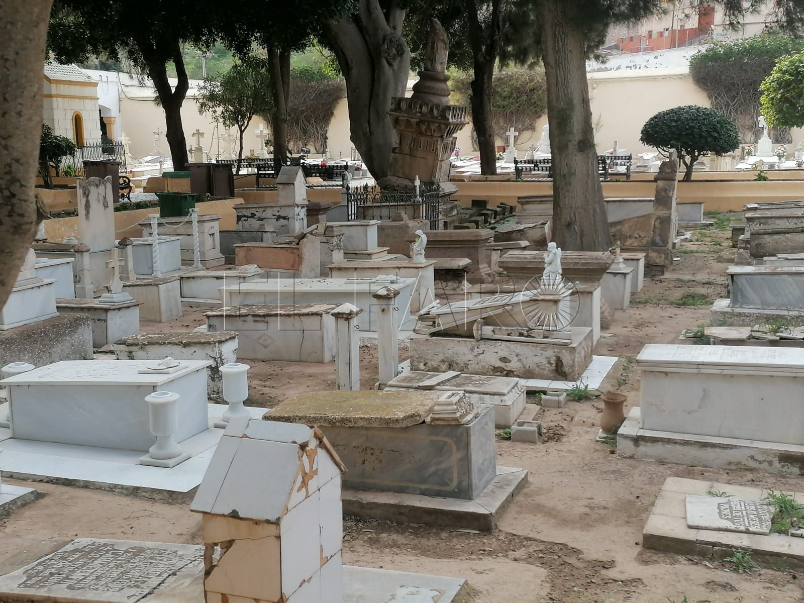 Mohatar afirma que la Ciudad no tiene responsabilidad sobre las tumbas rotas del cementerio de la Purísima