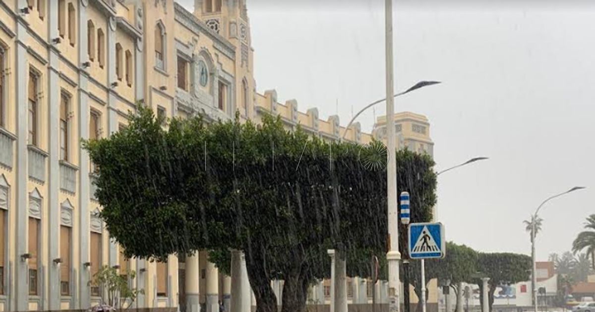 Joaquín Arana pasa a ser asesor del presidente