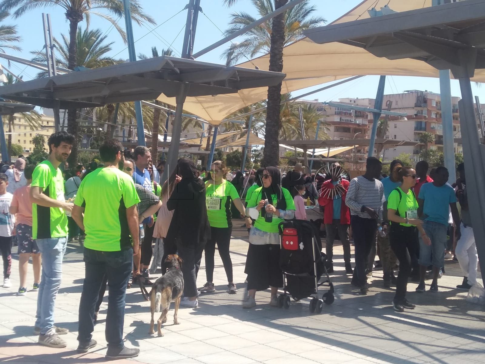 Actividades del Día Mundial por la Educación