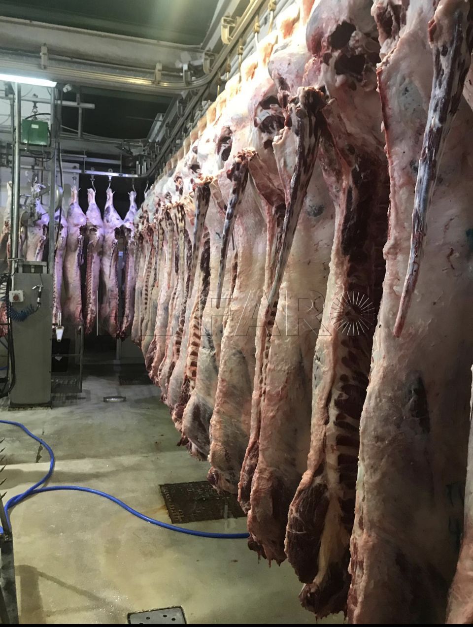 CSIF felicita a los trabajadores del matadero