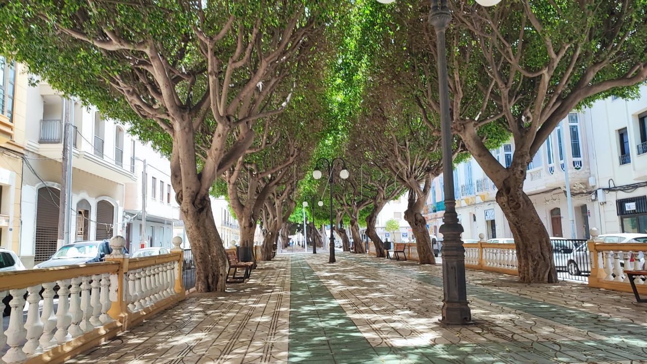 Guelaya tilda las declaraciones de Mohatar como "una cortina de humo"